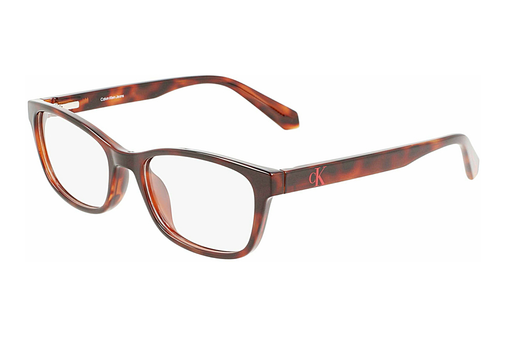 Calvin Klein   CKJ22622 240 BROWN TORTOISE