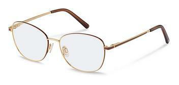 Rodenstock R2660 A gold, brown