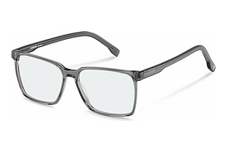 Rodenstock R5355 C000 grey