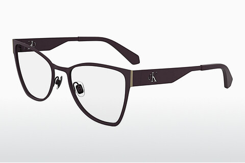 Eyewear Calvin Klein CKJ24210 505