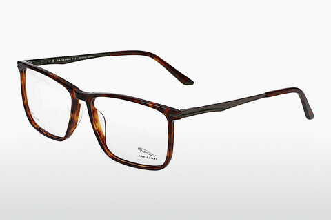 Eyewear Jaguar 32503 4838