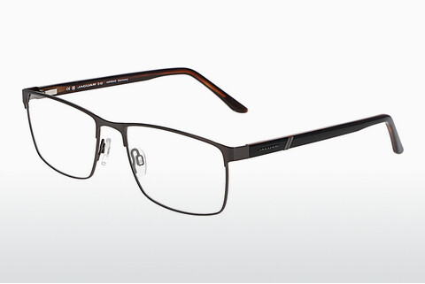 Eyewear Jaguar 33113 4200