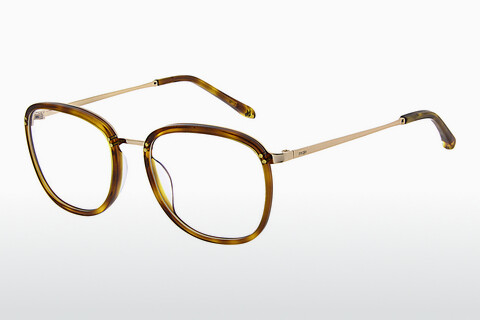 Eyewear Maje 421012 202