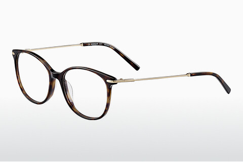 Eyewear Morgan 202015 5100