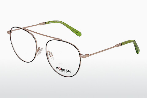 Eyewear Morgan 203202 6000