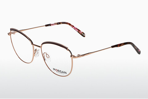 Eyewear Morgan 203233 3500