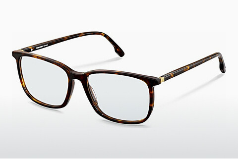 Eyewear Rodenstock R5360 B000