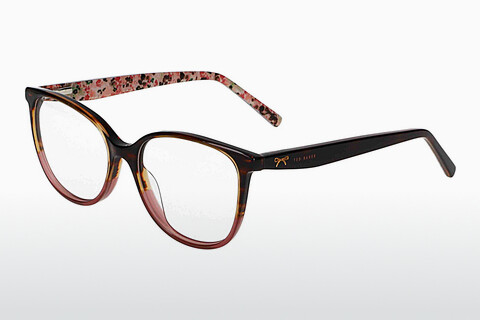 Eyewear Ted Baker 391006 137