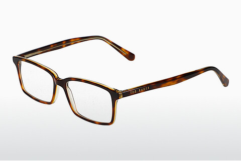 Eyewear Ted Baker 398280 170