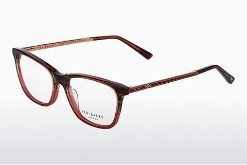 Eyewear Ted Baker 399218 264