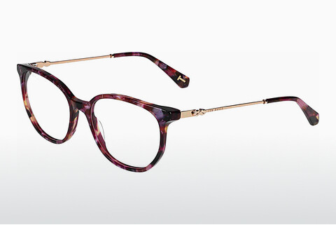 Eyewear Ted Baker 399295 703