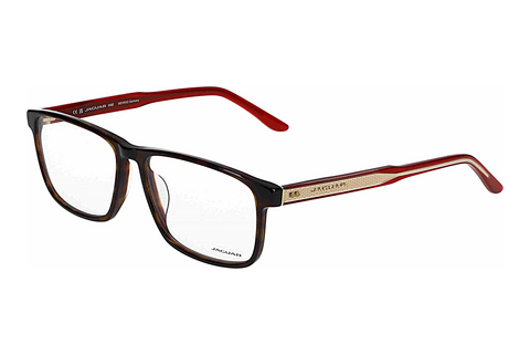 Eyewear Jaguar 31032 8940