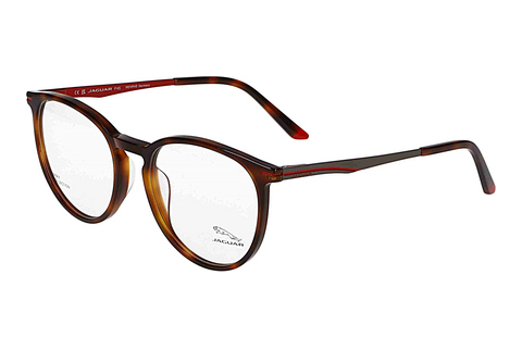 Eyewear Jaguar 32502 4982