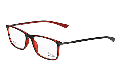 Eyewear Jaguar 36829 5100