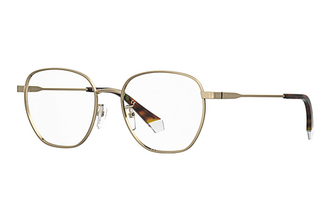 Eyewear Polaroid PLD D509/G J5G