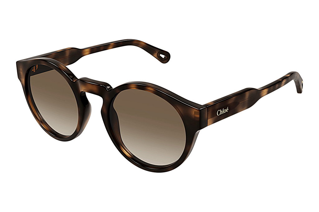 Chloé   CH0158S 002 HAVANA