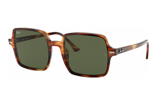 Ray-Ban RB1973 954/31