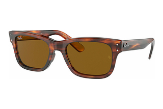 Ray-Ban RB2283 954/33