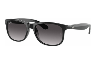 Ray-Ban RB4202 601/8G