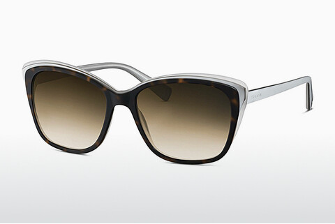 선글라스 Brendel BL 906113 60