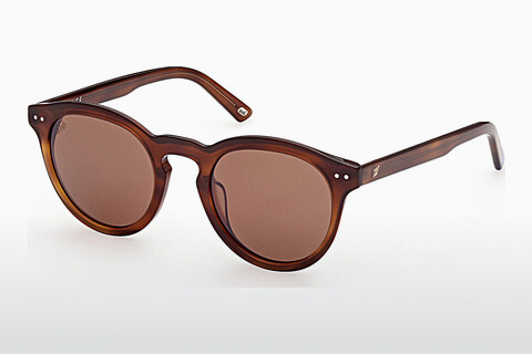 선글라스 Web Eyewear WE0307 53G
